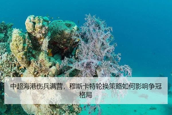 zhong-chao-hai-gang-shang-bing-man-ying-mu-si-ka-te-lun-huan-ce-lve-ru-he-ying-xiang-zheng-guan-ge-ju-3-135.jpg