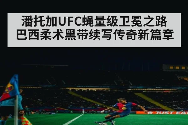 潘托加UFC蝇量级卫冕之路 巴西柔术黑带续写传奇新篇章